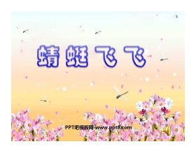 《蜻蜓飞飞》PPT课件2
