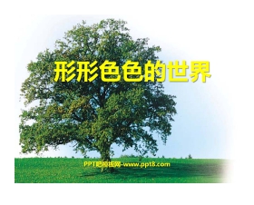 《形形色色的世界》PPT课件
