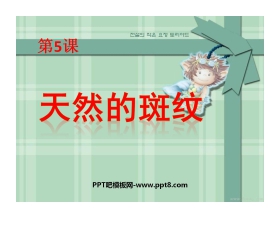 《天然的斑纹》PPT课件2