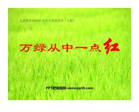 《万绿丛中一点红》PPT课件2