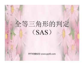 《全等三角形的判定》全等三角形PPT课件