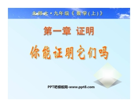 《你能证明它们吗》证明PPT课件2