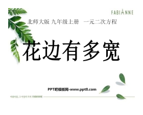 《花边有多宽》一元二次方程PPT课件