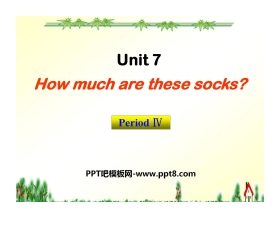 《How much are these socks?》PPT课件8