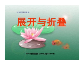 《展开与折叠》丰富的图形世界PPT课件