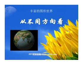 《从不同方向看》丰富的图形世界PPT课件
