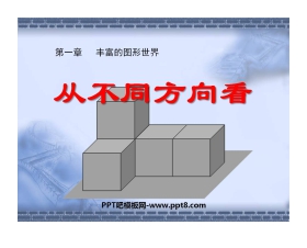 《从不同方向看》丰富的图形世界PPT课件2