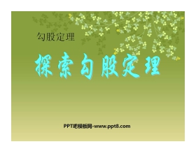 《探索勾股定理》勾股定理PPT课件5