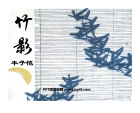 《竹影》PPT课件7