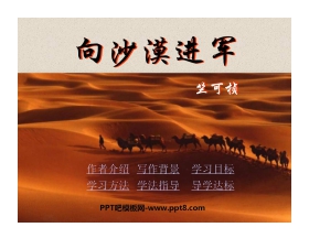 《向沙漠进军》PPT课件3