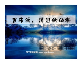《罗布泊，消逝的仙湖》PPT课件8