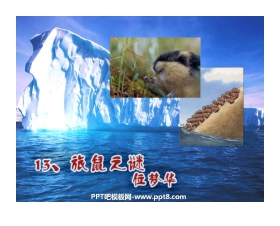 《旅鼠之谜》PPT课件7
