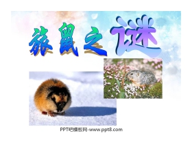 《旅鼠之谜》PPT课件4