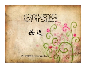《枯叶蝴蝶》PPT课件4