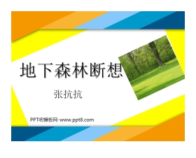 《地下森林断想》PPT课件4