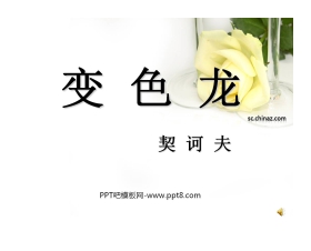 《变色龙》PPT课件6