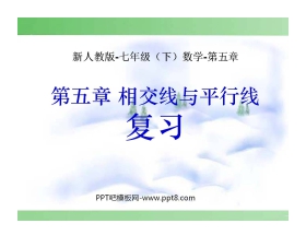 《复习》相交线与平行线PPT课件3