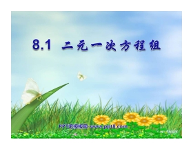 《二元一次方程组》PPT课件