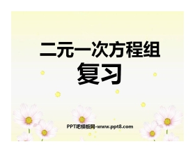 《复习》二元一次方程组PPT课件