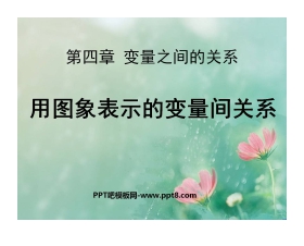 《用图象表示的变量间关系》变量之间的关系PPT课件2
