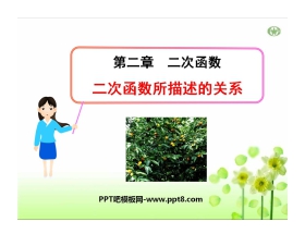 《二次函数所描述的关系》二次函数PPT课件3
