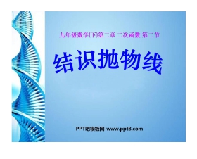 《结识抛物线》二次函数PPT课件