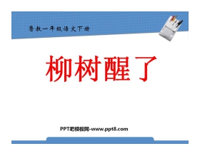 《柳树醒了》PPT课件10