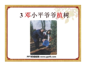 《邓小平爷爷植树》PPT课件6