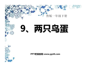 《两只鸟蛋》PPT课件8