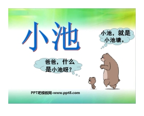 《小池》PPT课件4