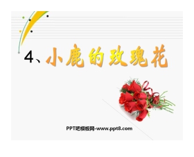 《小鹿的玫瑰花》PPT课件6