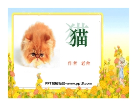 《猫》PPT课件3