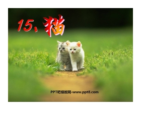 《猫》PPT课件4