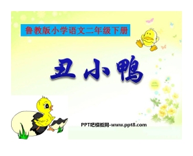 《丑小鸭》PPT课件6