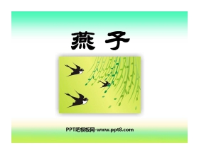 《燕子》PPT课件10