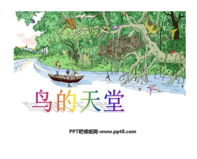 《鸟的天堂》PPT课件3