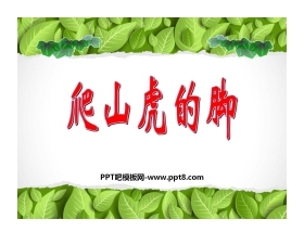 《爬山虎的脚》PPT课件2