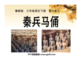 《秦兵马俑》PPT课件4