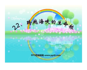 《跨越海峡的生命桥》PPT课件8