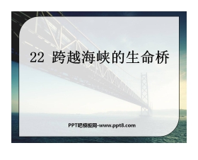 《跨越海峡的生命桥》PPT课件9