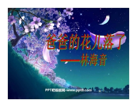 《爸爸的花儿落了》PPT课件8