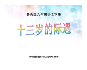 《十三岁的际遇》PPT课件7