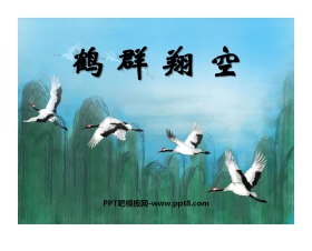 《鹤群翔空》PPT课件3