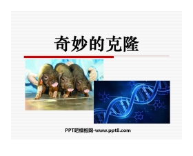 《奇妙的克隆》PPT课件7