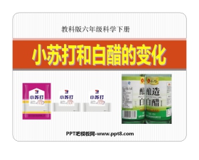 《小苏打和白醋的变化》物质的变化PPT课件2