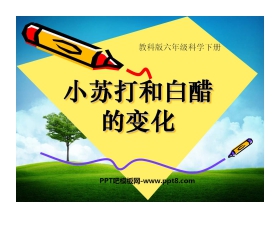 《小苏打和白醋的变化》物质的变化PPT课件