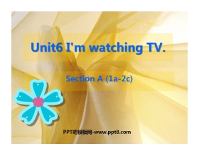 《I’m watching TV》PPT课件6