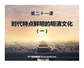 《时代特点鲜明的明清文化一》统一多民族国家的巩固和社会的危机PPT课件4