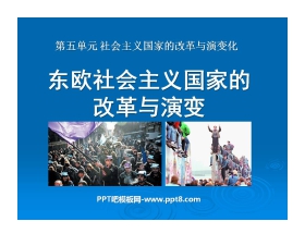 《东欧社会主义国家的改革与演变》社会主义国家的改革与演变化PPT课件5
