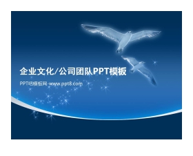 企业文化公司团队PPT模板